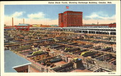 Union Stock Yards Omaha, NE Postcard Postcard