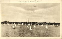 View Of Harbor Postcard