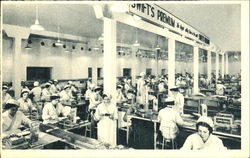 Uniform Slicing Is Done By Automatic Machinery Postcard