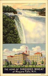 The Home Of Shredded Wheat Niagara Falls, NY Postcard Postcard