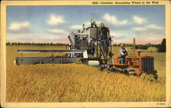 Combine Harvesting Wheat In The West Farming Postcard Postcard