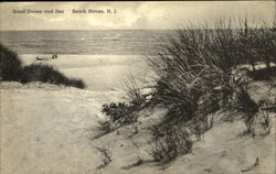 Sand Dunes And Sea Beach Haven, NJ Postcard Postcard