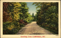 Greetings From Campbell Postcard