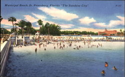 Municipal Beach St. Petersburg, FL Postcard Postcard