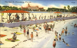 The Spa St. Petersburg, FL Postcard Postcard