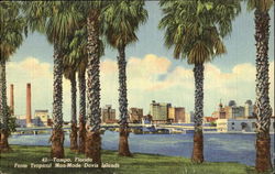 Tropical Man-Made Davis Islands Tampa, FL Postcard Postcard