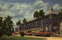 Beautiful Hialeah Race Course Postcard