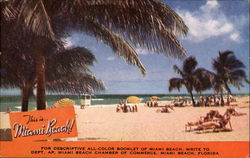 Miami Beach Florida Postcard Postcard