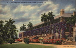 Beautiful Hialeah Race Course Postcard