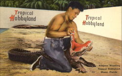 Alligator Wrestling Postcard