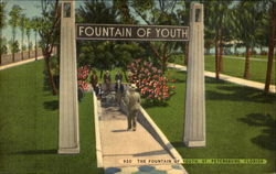 The Fountain Of Youth Postcard