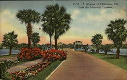 A Glimpse Of Clearwater Florida Postcard Postcard