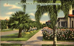 First Street North St. Petersburg, FL Postcard Postcard