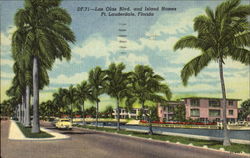 Las Olas Blvd. And Island Homes Postcard