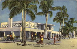 Coconut Palms And White Sand, Lido Beach Casino Postcard