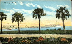 Municipal Pier Postcard