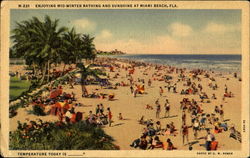 Enjoying Mid-Winter Bathing And Sunshine Miami Beach, FL Postcard Postcard