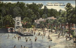 Haring A Grand Time At Florida's Silver Springs Postcard Postcard