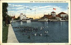 Yacht Club And Halifax River Postcard