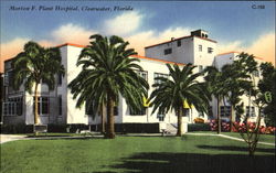 Morton F. Plant Hospital Clearwater, FL Postcard Postcard