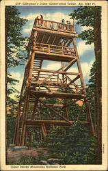 Clingman's Dome Observation Tower, Great Smoky Mountains National Park Postcard