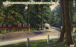 View On Lower Road To Bisby Lodge Postcard