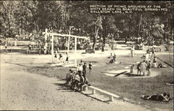 Section Of Picnic Grounds Postcard