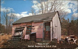 Here It Is Social Security In Z-E-E Pink Postcard