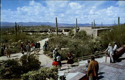 A View From The Remada Of The Arizona Sonora Desert Museum Tucson, AZ Postcard Postcard