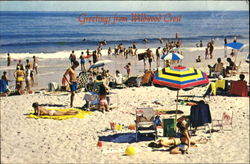 Greetings From Wildwood Crest Postcard