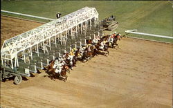 They're Off At Hialeah! Postcard