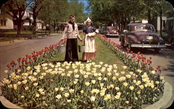 It's Tulip Time In Holland Every Year In May Michigan Postcard Postcard