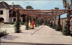 Hispanic Garden St. Augustine, FL Postcard Postcard