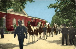 Belmont Park Postcard