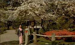 Japanese Tea Garden Postcard