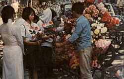 Flower Street Saigon, Vietnam Southeast Asia Postcard Postcard