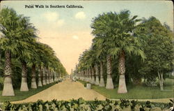 Palm Walk In Southern California Scenic, CA Postcard Postcard