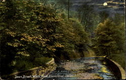 Doan Brook, Wade Park Postcard