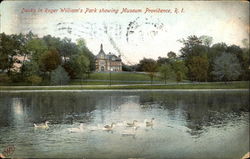 Ducks In Roger William's Park Providence, RI Postcard Postcard