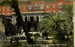 Main Entrance And Palm Garden Tampa, FL Postcard Postcard