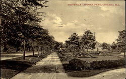 Driveway Lincoln Park Postcard