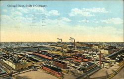 Chicago Plant Swift & Company Postcard