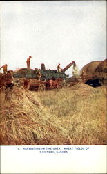 Harvesting In The Great Wheat Fields Manitoba Canada Postcard Postcard