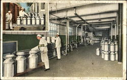 H.P. Hood Dairy Postcard