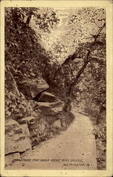 Brandywine Park Walk Above Wire Bridge Postcard