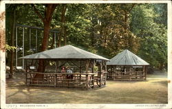 Lehigh Valley Railroad, Bellewood Park Pattenburg, NJ Postcard Postcard