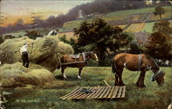 In The Hayfield Farming Postcard Postcard