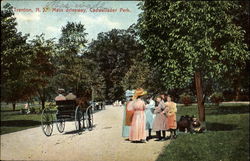 Main Driveway, Cadwallader Park Postcard