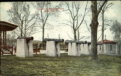 Scene In Riverside Park Postcard