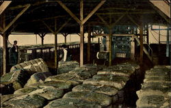 Cotton Bales Postcard